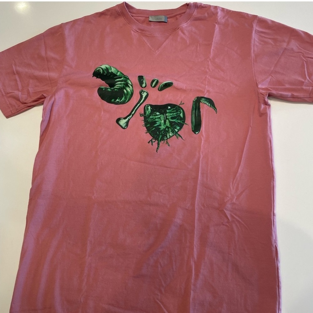 Dior X cactus jack original